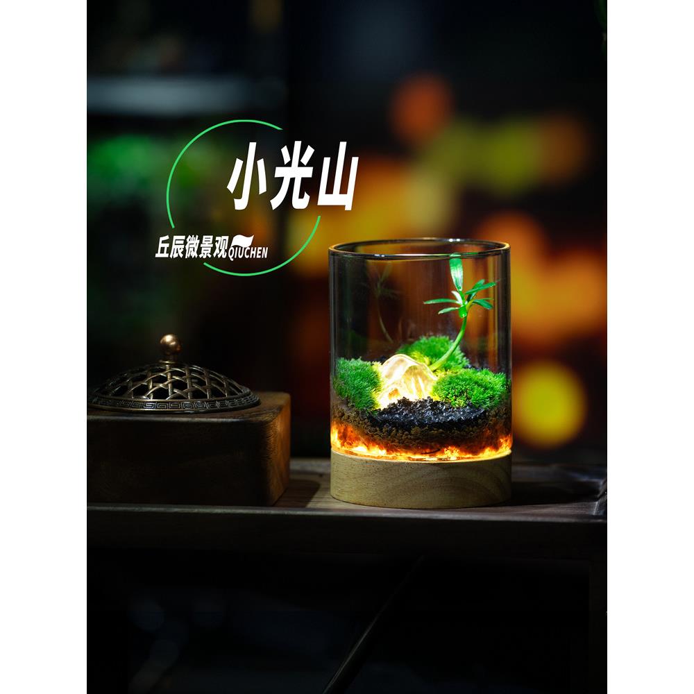 丘辰苔藓微景观生态瓶办公室内桌面摆件创意小夜灯男女生日礼物
