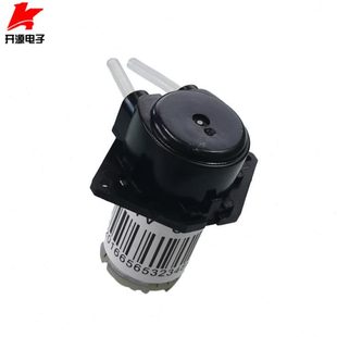 直流自吸泵小抽水泵高吸程微型水泵静音蠕动泵滴定6V12V水泵24V
