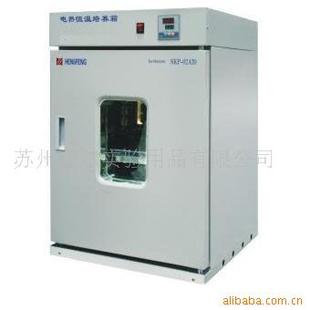 9082恒温箱培养箱细菌培养 恒温箱厂家苏州威尔电热恒温培养箱DNP