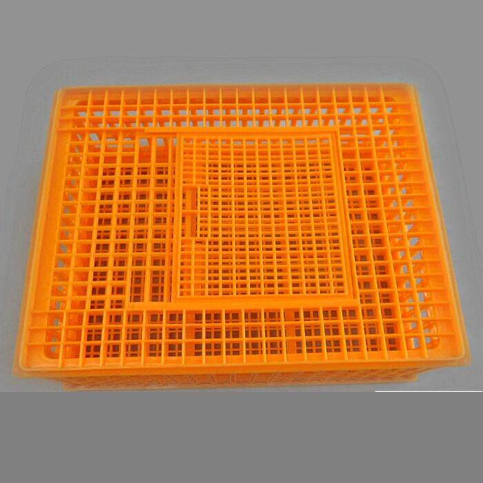 加厚鸡笼 塑料运输笼鸭笼 鹅笼家用筐成鸡笼周转成鸡箱鸽放飞笼