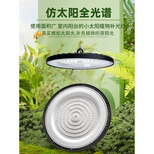 室内全光谱植物补光灯阳台仿太阳光照模拟灯花卉绿植100w生长灯
