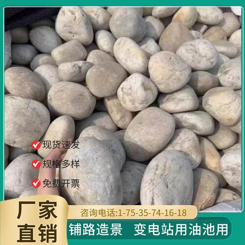 河北河卵石变电站用鹅卵石鹅卵石滤料河滩石园林绿化河卵石直销