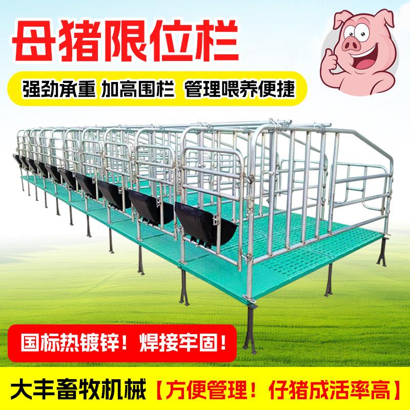 母猪定位栏限位栏热镀锌加厚养猪场设备单体栏限位栏带食槽漏粪板