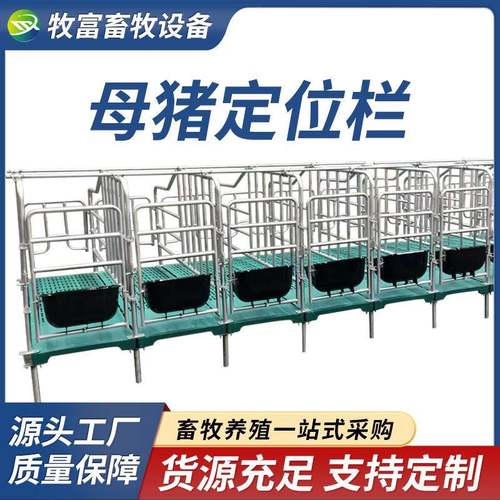 带粪板母猪限位栏落地式简易产床栏加厚热镀锌母猪定位栏养殖设备