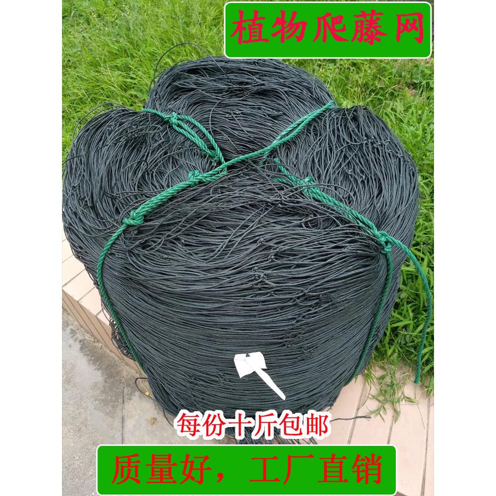百香果专用爬藤网苦瓜罗汉果黄瓜丝瓜葡萄沃柑瓜果种植豆角蔬菜网
