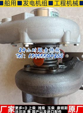 江雁天雁 -J60L3 TY4L00 TY2084    B9200云内装载机小铲车