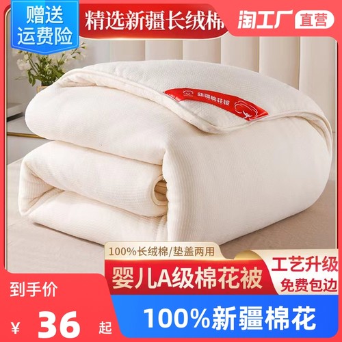 新疆棉被纯棉花被子春秋冬被单人全棉被芯手工棉絮床垫被褥子棉胎