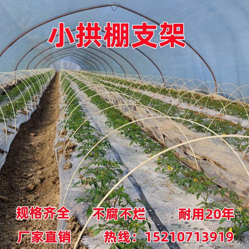 塑料拱棚支架弓型防冻防虫薄膜小棚二米实心冬季防虫网保温棚撑杆,农机/农具/农膜,温室大棚支架,淘宝优惠券,粉丝福利购,淘宝优惠卷