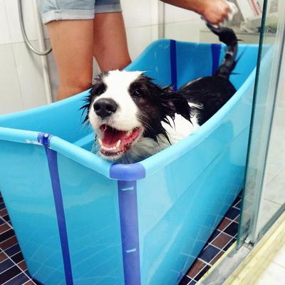 狗狗洗澡盆 可折叠浴盆泡澡浴缸大型犬金毛法斗泰迪游泳池药浴桶
