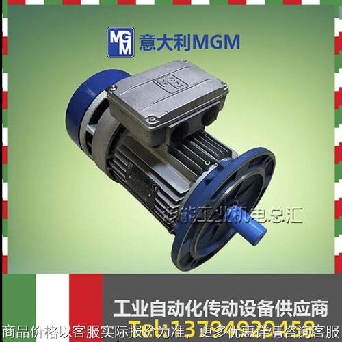 风能专用MGM偏航电机BA100LB4400/690V1415RPM变桨刹车电动机
