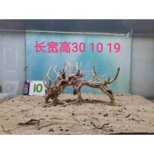 杜鹃根沉木造景一木成景拱桥树洞水陆缸雨林缸草缸莫斯胶拼接骨架