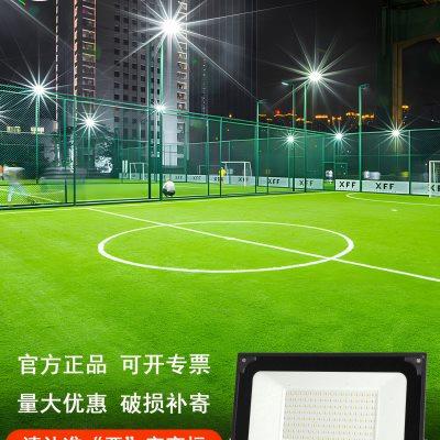 上海世纪亚明ZY609投光灯泛光灯户外防水LED灯工程工地广场球场灯