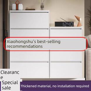 超薄钢鞋柜，适用于家庭入口、走廊、入口、铁柜、金属大容量、多