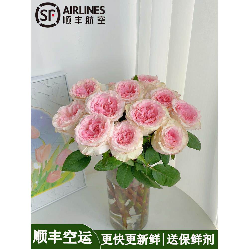 A级洛神玫瑰鲜切花居家水养插花百合洋桔梗云南基地顺丰空运发货