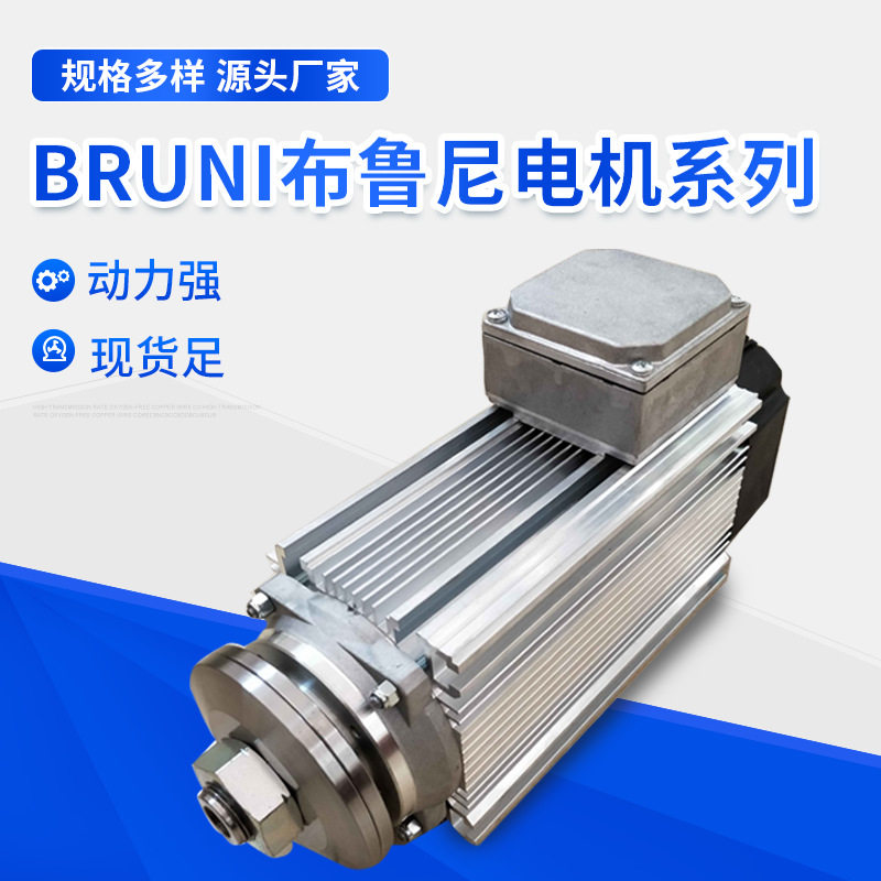 意大利BRUNI布鲁尼电机木工塑胶铝材切割用电机HPE50LB2 - 实物图