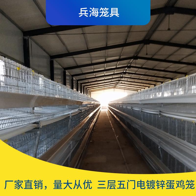 三层五门电镀锌蛋鸡笼厂家直供蛋鸡笼养殖设备自动化养殖设备