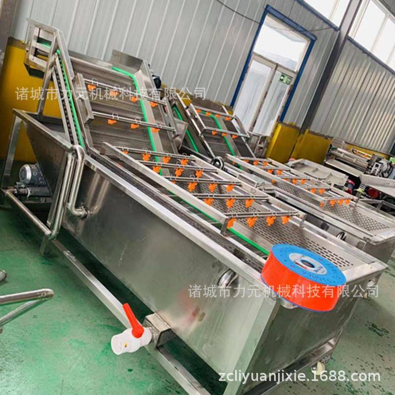 大枣气泡喷淋清洗机绿叶菜果蔬清洗机鱼腥草龙须菜高压清洗设备