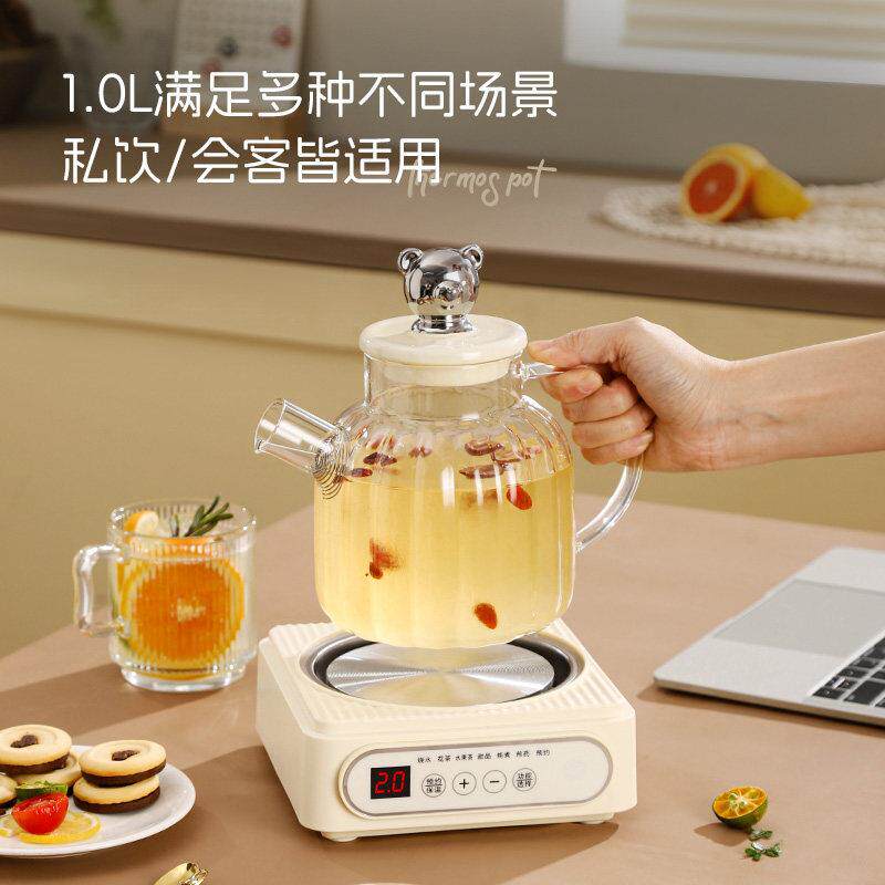 全玻璃煮水壶迷你养生壶家用多功能烧茶壶办公室小型煮茶器花茶壶