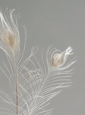 ins风米白色孔雀毛羽毛家居饰品耶诞装饰摆设软装设计店铺陈列