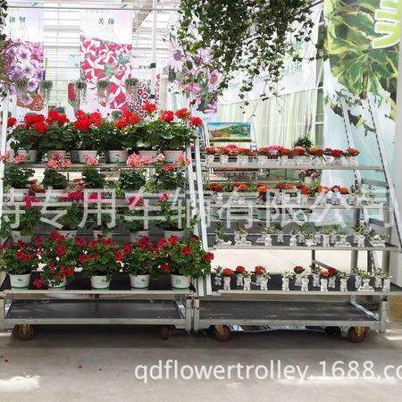 玫瑰展示花架带脚轮青岛伊莱特花架展示车可移动鲜花陈列架