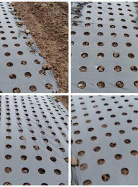 农用地膜农业薄膜葱洋葱专用黑色打孔地膜防草除草保湿银黑反光膜