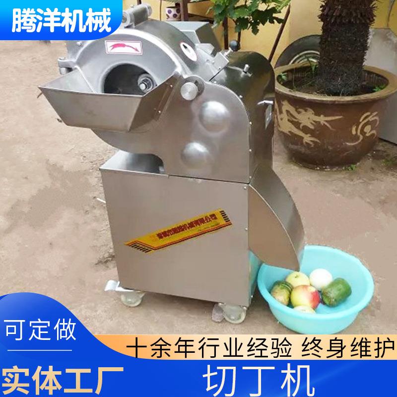 厂家果蔬切丁机萝卜切丁机苹果切片机多功能蔬菜切断机