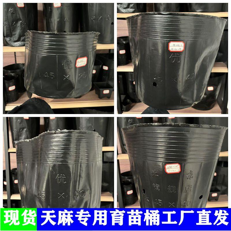 天麻专用种植桶 加厚抗老化营养钵大号黑色魔芋营养杯育苗杯塑料