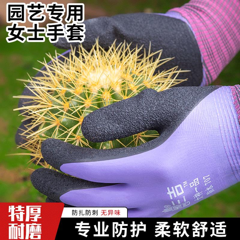 园艺手套女士专用防刺防水防扎赶海种花月季玫瑰种植拔草花艺防护