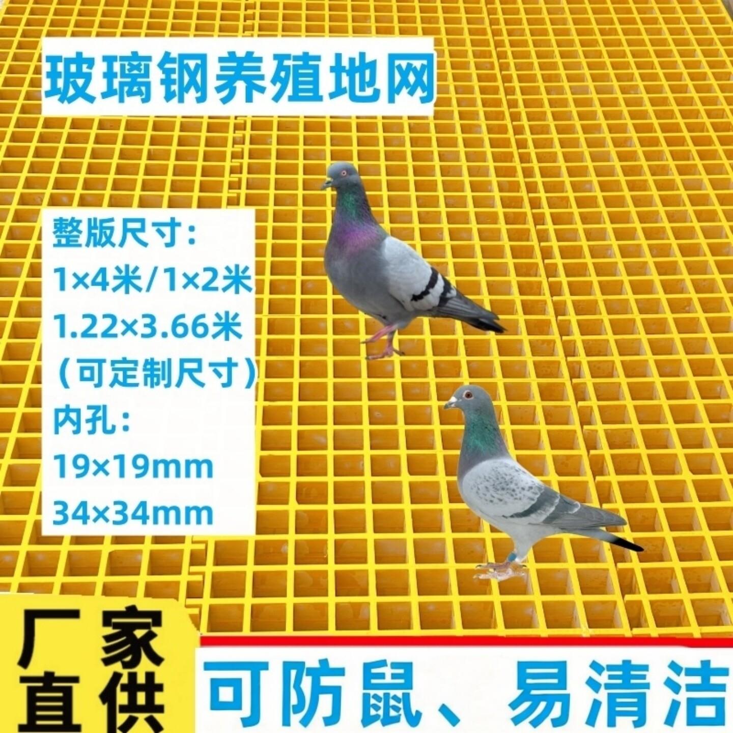 玻璃钢格栅鸽舍地网鸽子棚专用漏粪板赛鸽鸽笼养殖专用地网格