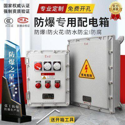 BJX防爆接线箱空箱照明动力配电箱仪表防爆柜防爆柜危化品储存柜