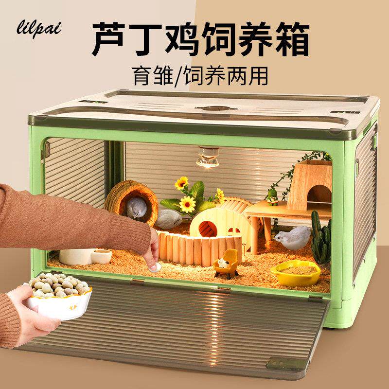 芦丁鸡饲养箱全套宠物用品鹦鹉鸟笼鹌鹑笼子造景专用保温恒温育雏