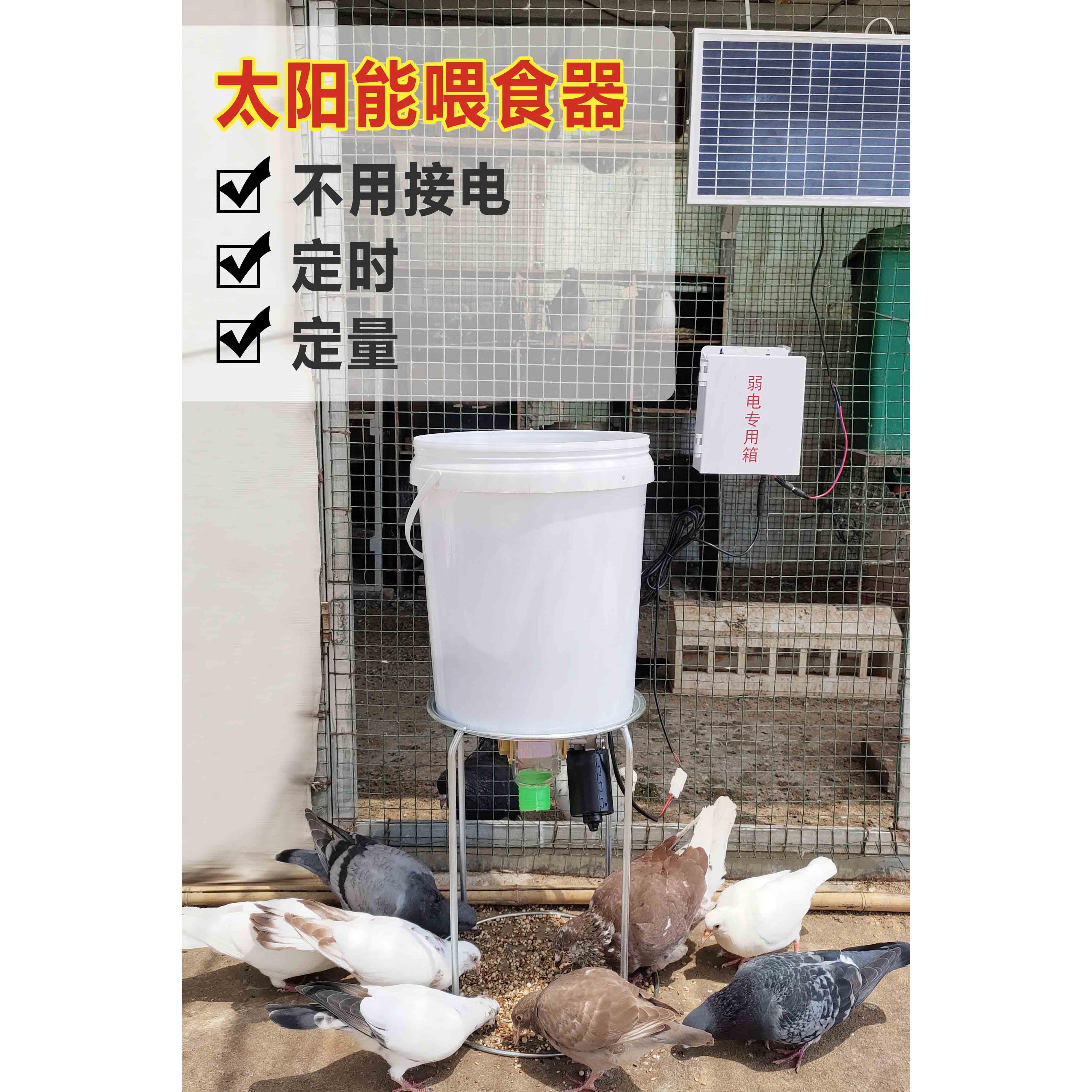 太阳能自动喂 食器定时定量鸽子鸡鸭鹅狗喂料机投食器用品用具远