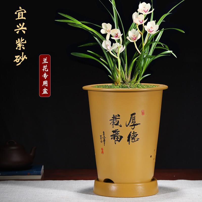 宜兴紫砂透气花盆君子兰陶瓷大号简约桌面家用兰草兰花专用吊兰盆