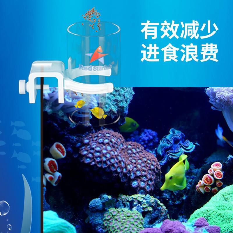 喂食器鱼缸防飘散海水珊瑚缸亚克力上浮鱼食饲料红海星喂食圈