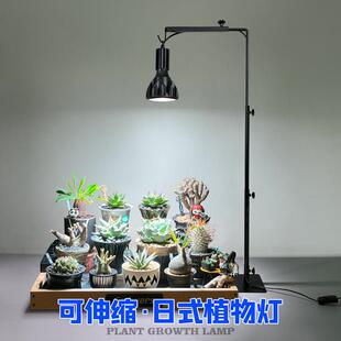 植物补光灯支架立式块根植物架子桌面绿植龟甲龙龙舌兰造景生长灯