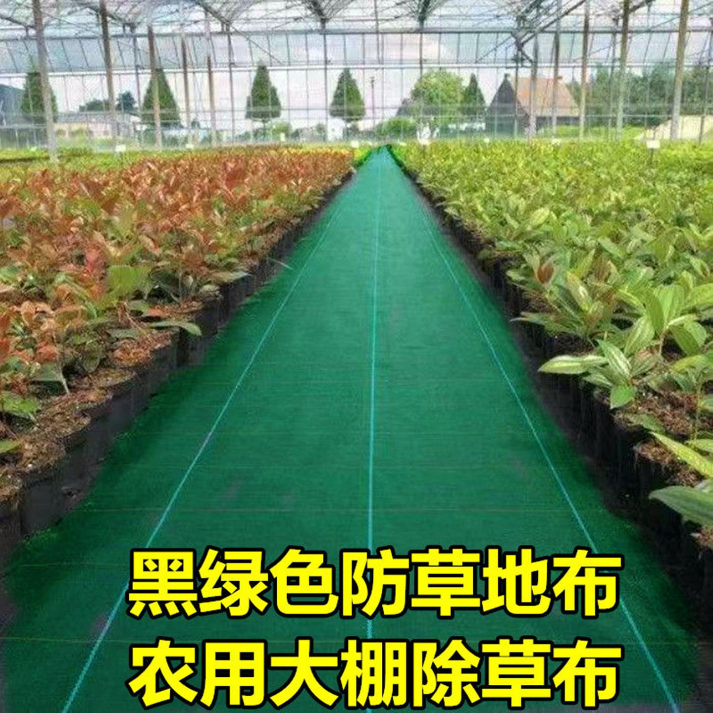 防草地布除草绿色地膜果树防草布透水保湿除草布农用盖草地布园艺