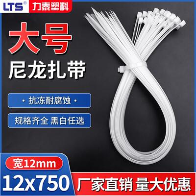 易扣捆扎带12*750mm宽12MM自锁式塑料封条电线 线卡扣尼龙扎带束