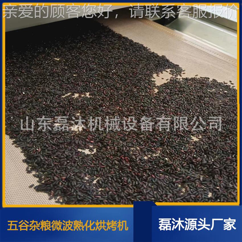 节能型五备谷微杂粮波烘烤机 黑米干燥设 小米熟LM-20KW-化杀机