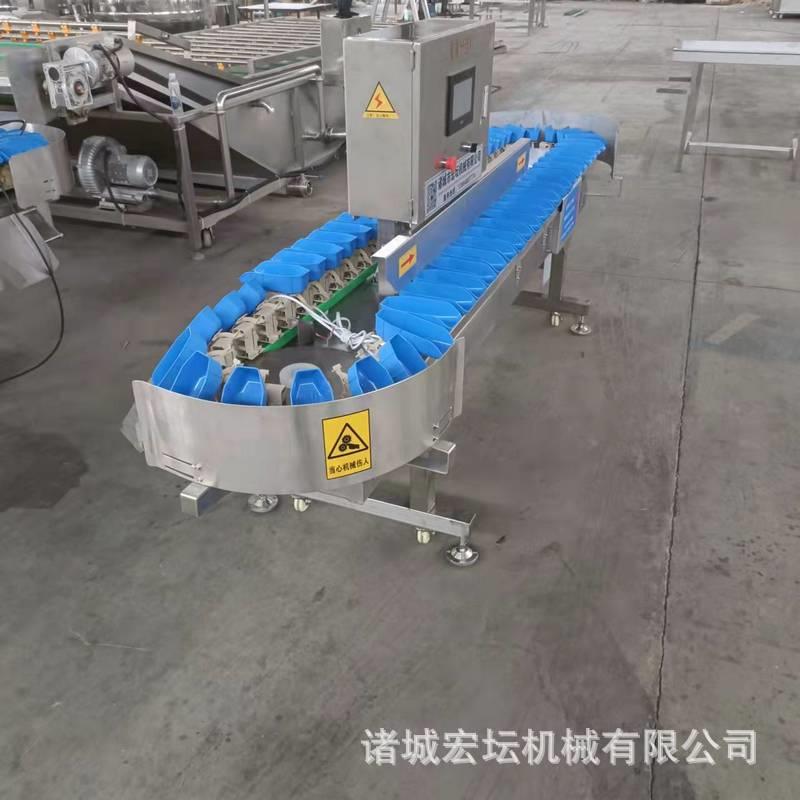 厂家现货供应重量分选机大虾分选机海鲜分级设备大虾重量分选机