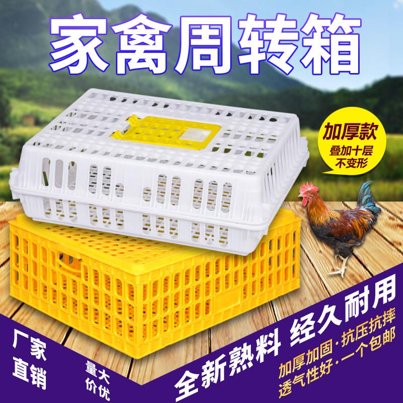 鸡笼周转箱成塑料运输笼家用大号加厚特大筐成鸡鸭鹅鸽子家禽兔笼图片