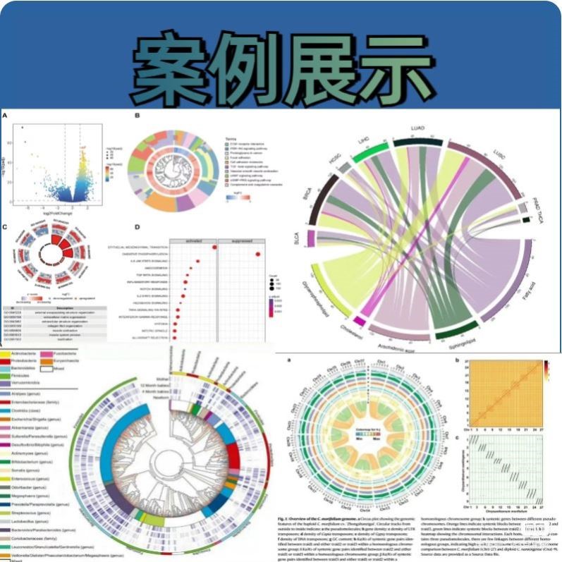 网络药理学专业代做cytoscape作图GO KEGG富集PPI网络