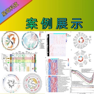可视化生信分析技术TCGA/GEO数据挖掘与咨询服务