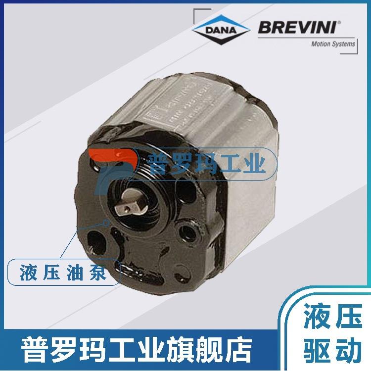 齿轮油泵OT100P20S/G13B0G14B0G214B0R11S1G11S1D58