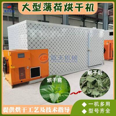 薄荷烘干机智能控温接骨草薄荷叶茶烘干设备夜息香银丹草烘干房