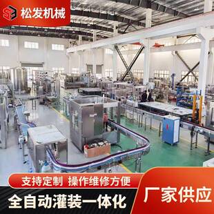 全自动果汁饮料灌装设备蓝莓饮料苹果汁加工设备