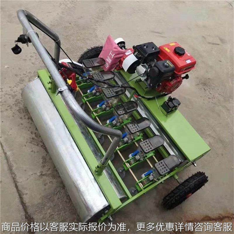 汽油蔬菜播种机 免建苗电动精播机 小型菜籽种植机器,农机/农具/农膜,播种栽苗器/地膜机,淘宝优惠券,粉丝福利购,淘宝优惠卷