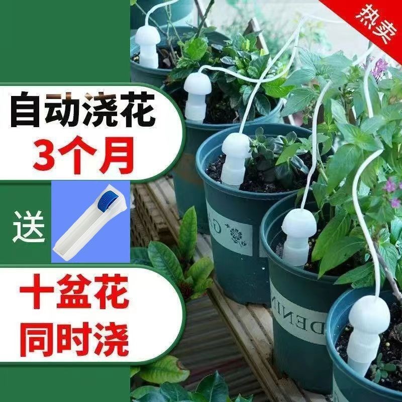 浇花神器假期出差自动浇水器家用滴E灌浇花器滴水器懒人盆栽渗水
