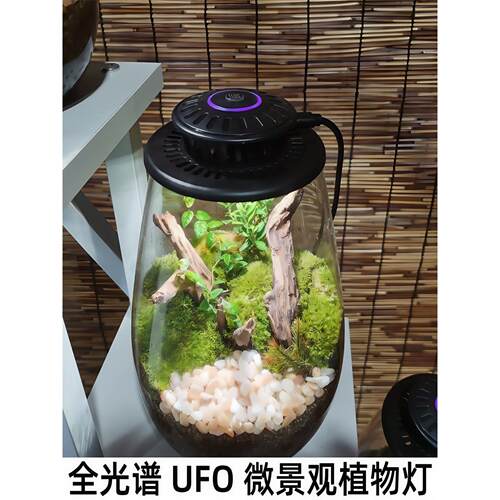 UFO全光谱微景观生态瓶补光灯彷太阳led苔藓植物生长灯生命之树灯