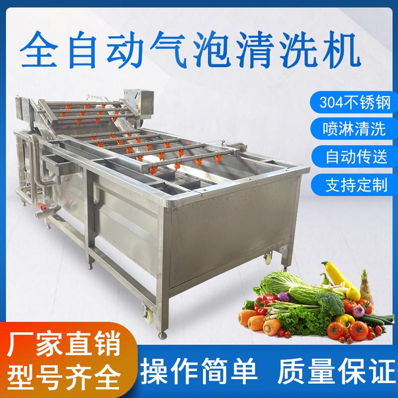 气泡清洗机大型蔬菜水果橙子橘子清洗去泥机多功能果蔬去农残设备