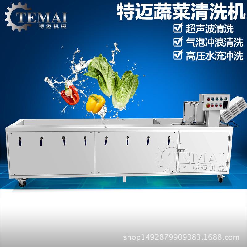 现货销售红树莓气泡清洗机多功能水果喷淋清洗机全自动洗果机